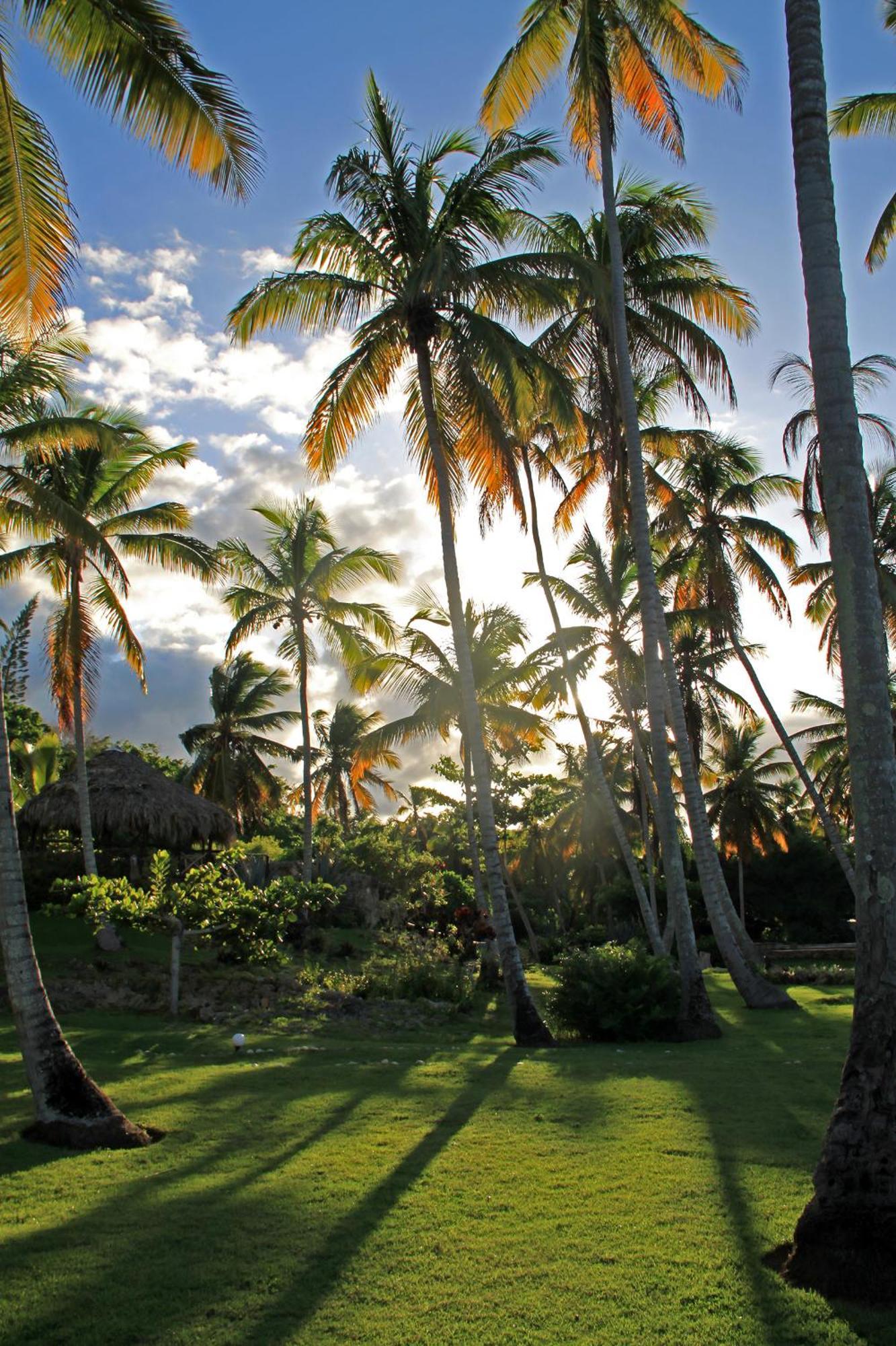 Hotel Todoblanco, Las Galeras, Samana Экстерьер фото